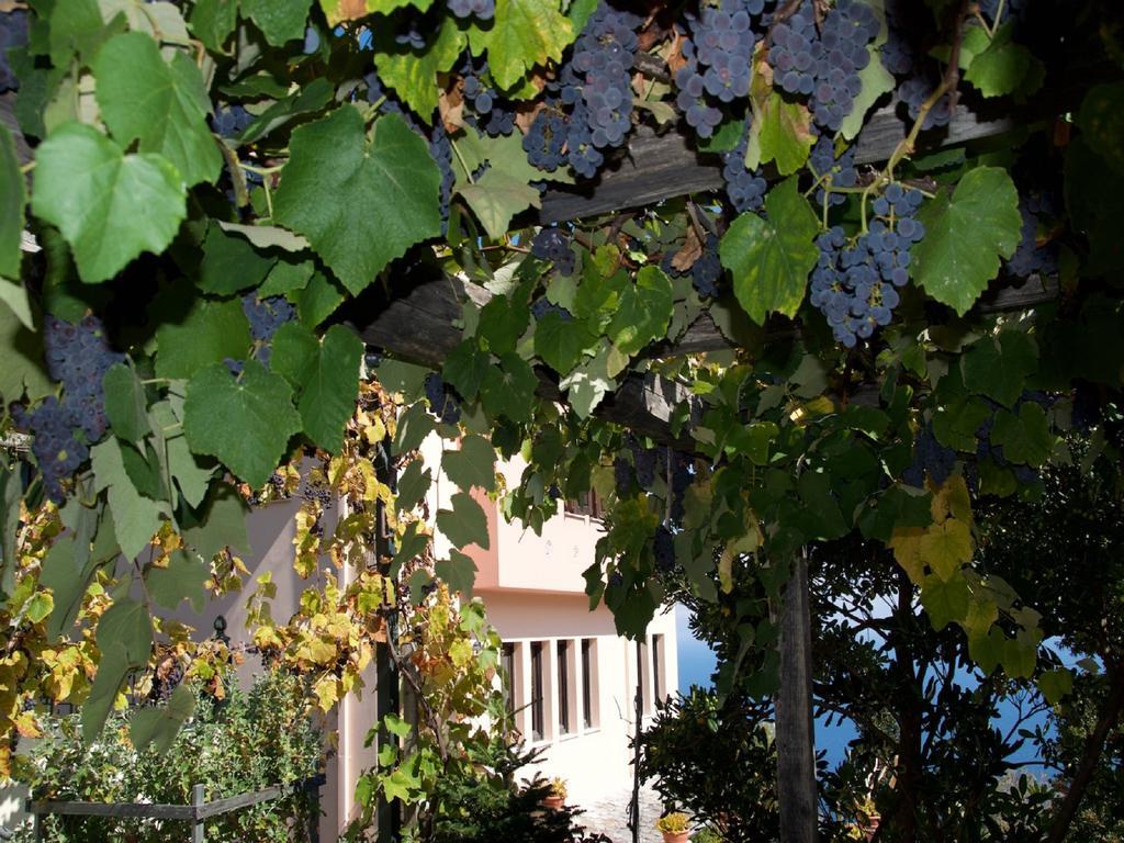 Villa Aglaini Áyios Dhimítrios 外观 照片