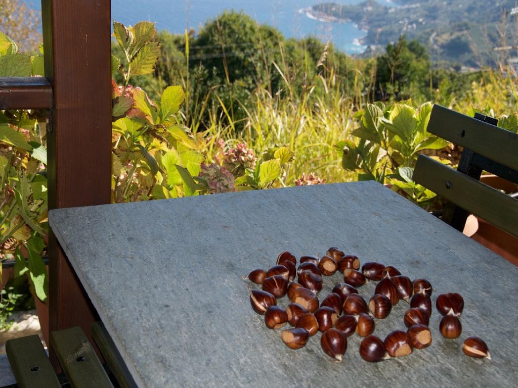 Villa Aglaini Áyios Dhimítrios 外观 照片