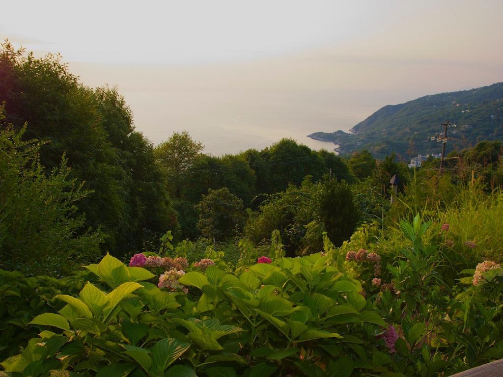 Villa Aglaini Áyios Dhimítrios 外观 照片